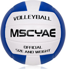 Pallone Da Pallavolo Ufficiale