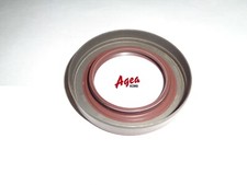 PARAOLIO PIGNONE DIFFERENZIALE