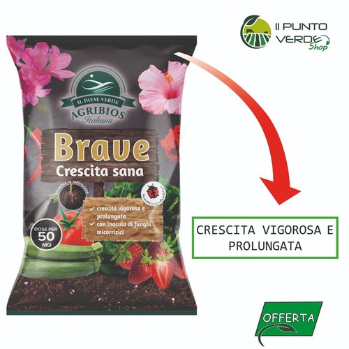 Brave crescita sana - 4, kg