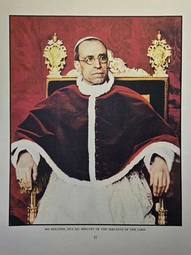 Papa pio xii mozzetta rochet - mozzetta,