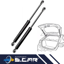 2 Molle A Gas Per NIssan Juke