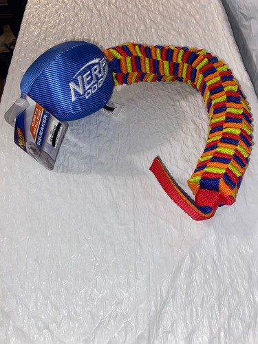 Nerf cucciolo cane di - cucciolo,