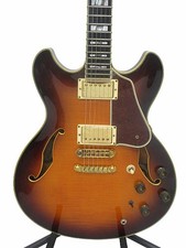 Chitarra elettrica usata