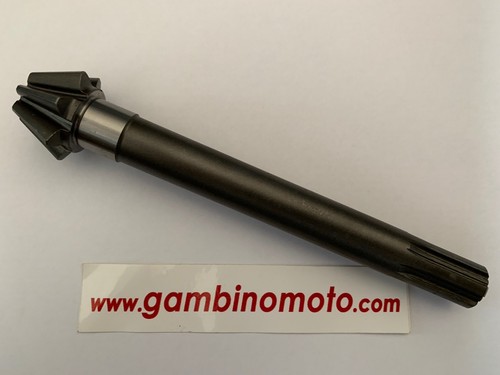Pignone motozappa pasbo - pignone, g31