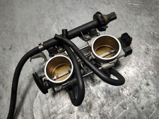 Throttle bodies with TPS