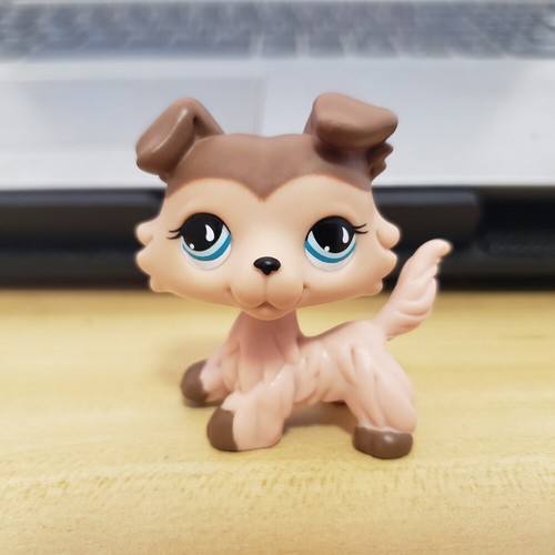 Mini pet lps - mini,