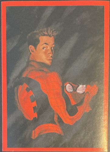 The amazing spider - the, spider-man,