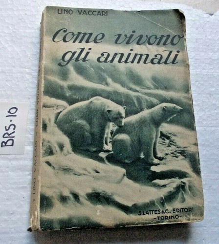 Come vivono gli animali - vivono,