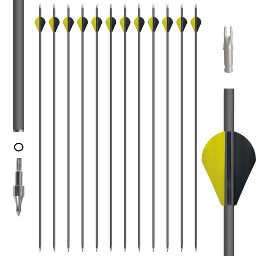 12pz freccia carbonio - 12pz,