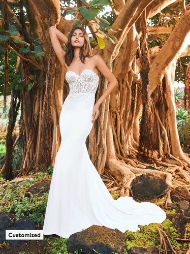 Pronovias wedding dress - wedding, never