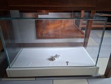 vetrine per collezionismo,vetrinetta,vetrine,vetrina in cristallo