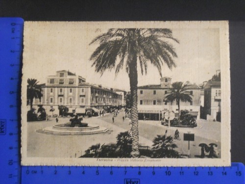 Terracina bellissima - terracina,