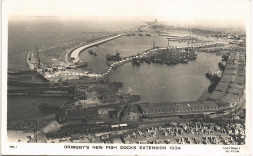 Grimsby new fish docks - fish,