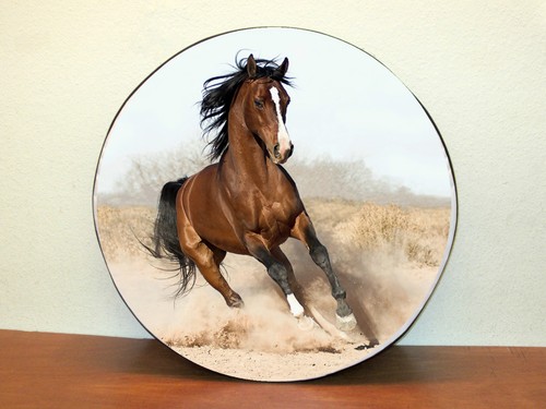 Cavallo 4x4 copriruota - cavallo, 2