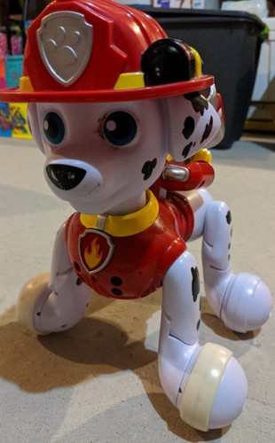 Paw patrol spin master - paw,