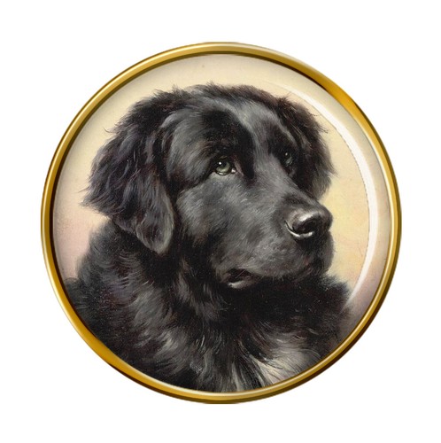 Cane terranova reichert - cane,