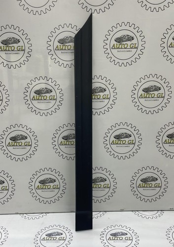 Modanatura porta posteriore - porta,