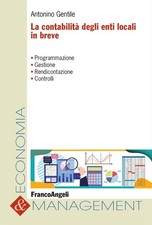 La contabilità degli enti