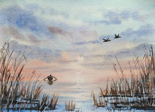 BARCA PESCATORE SOLITARIO