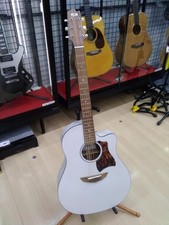 Fujigen Acoustic AG1-TWF usato