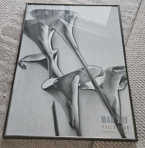 Poster uomo ray parigi 1930 - uomo,