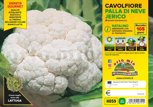Orto mio cavolfiore palla - orto, di