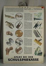 C12 / Vecchio Papp Lavagna