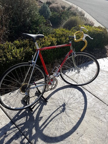 Raleigh grand prix - prix, good