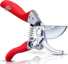 Professional Pruning Scissors