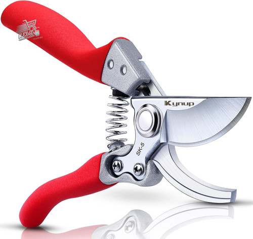 Professional pruning scissors - pruning,