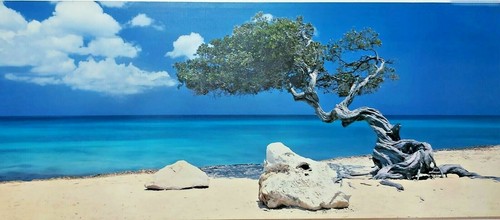 Quadro stampa tela canvas - quadro,