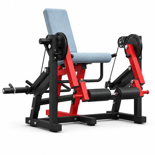 Estensione gambe curl - e,