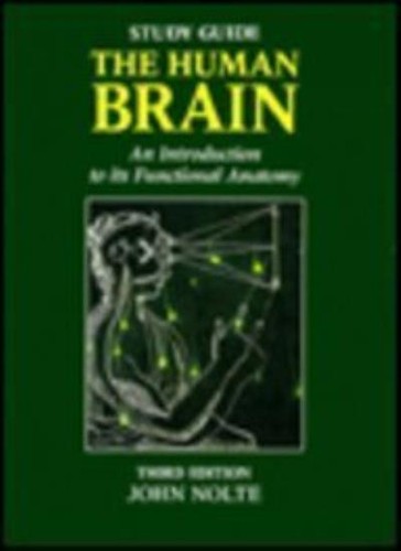 The human brain - the, study