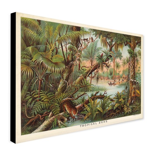 Zona tropicale arte vintage - , di