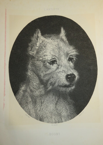 Godefroy jadin - godefroy, (1805-1882)