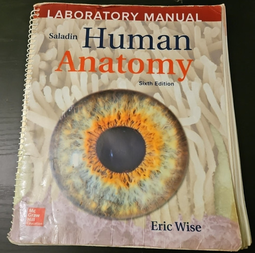 Human anatomy laboratory - human,
