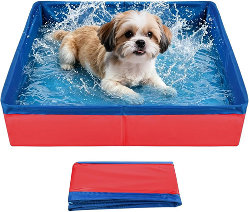 Piscina per cani piccoli - piscina,