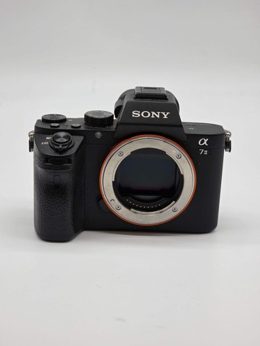 Fotocamera digitale mirrorless