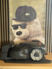 Robot tagliaerba rasaerba