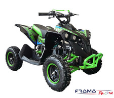 MINI-QUAD NCX CAYMAN 50 R6