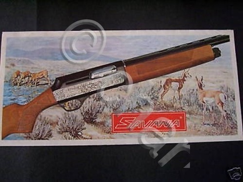 Caccia catalogo hunting - caccia,