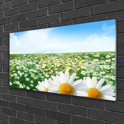 Quadro stampa vetro wall art - vetro,