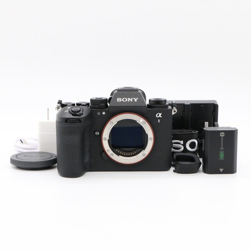 Sony ilce 1m2 fotocamera - sony, ii