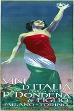 🌟 Poster Vini D'Italia