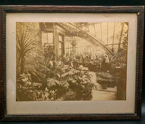 Foto conservatorio tenuta