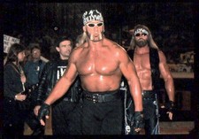 WCW NWO Panini 1999 Vintage