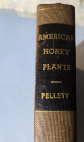 American honey plants pellett - american,