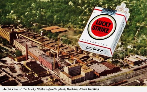 1951 lucky strike pianta - lucky,