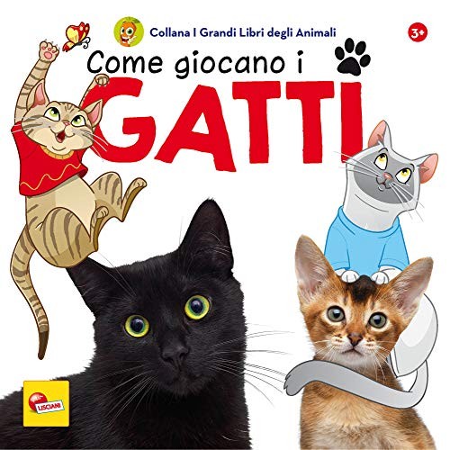 Come giocano gatti - i, i