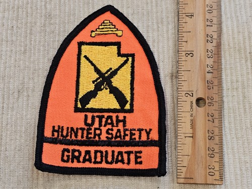 Patch anni army vietnam - anni, 60